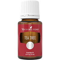 TEA TREE ( Teebaumöl ) 15 ml