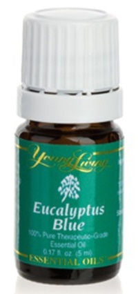 EUKALYPTUS BLUE ÄTHERISCHES ÖL  5 ml